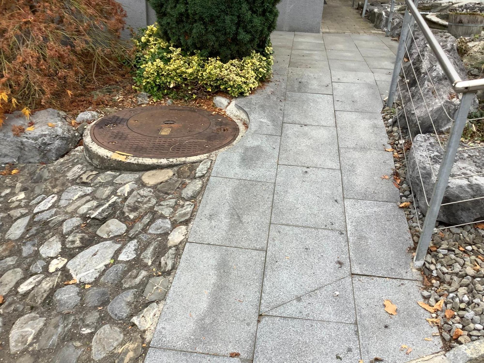 Chambre Spacieuse Et Confortable Avec Ecran Plat Oetwil an Der Limmat Exterior foto